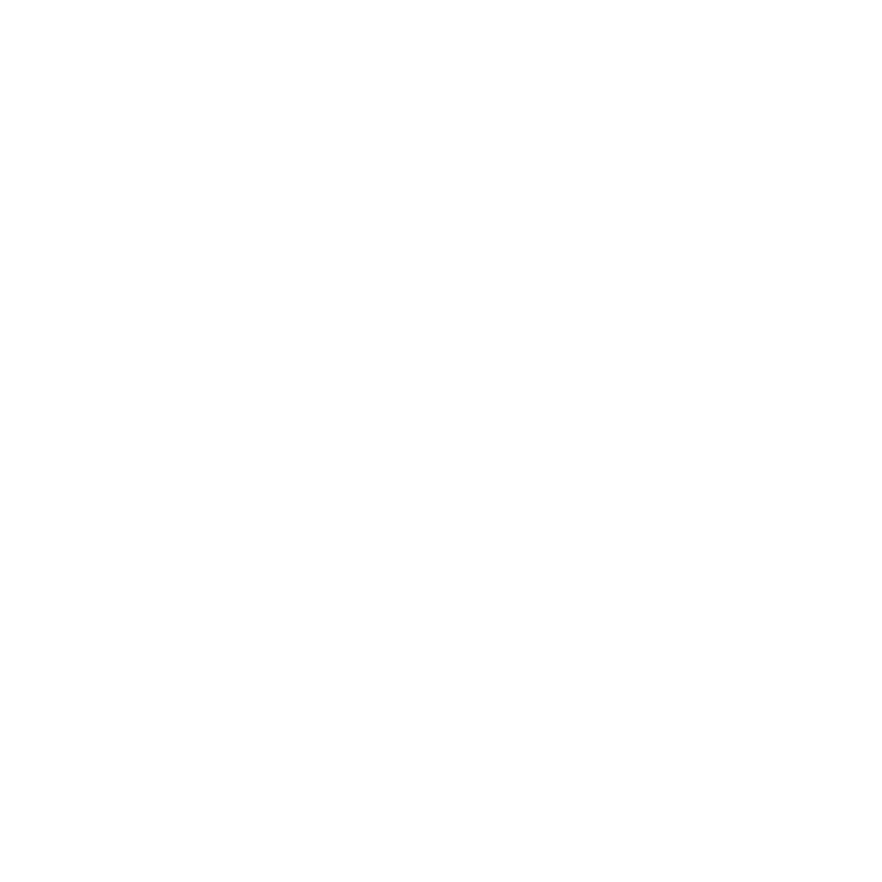 Fit Gun